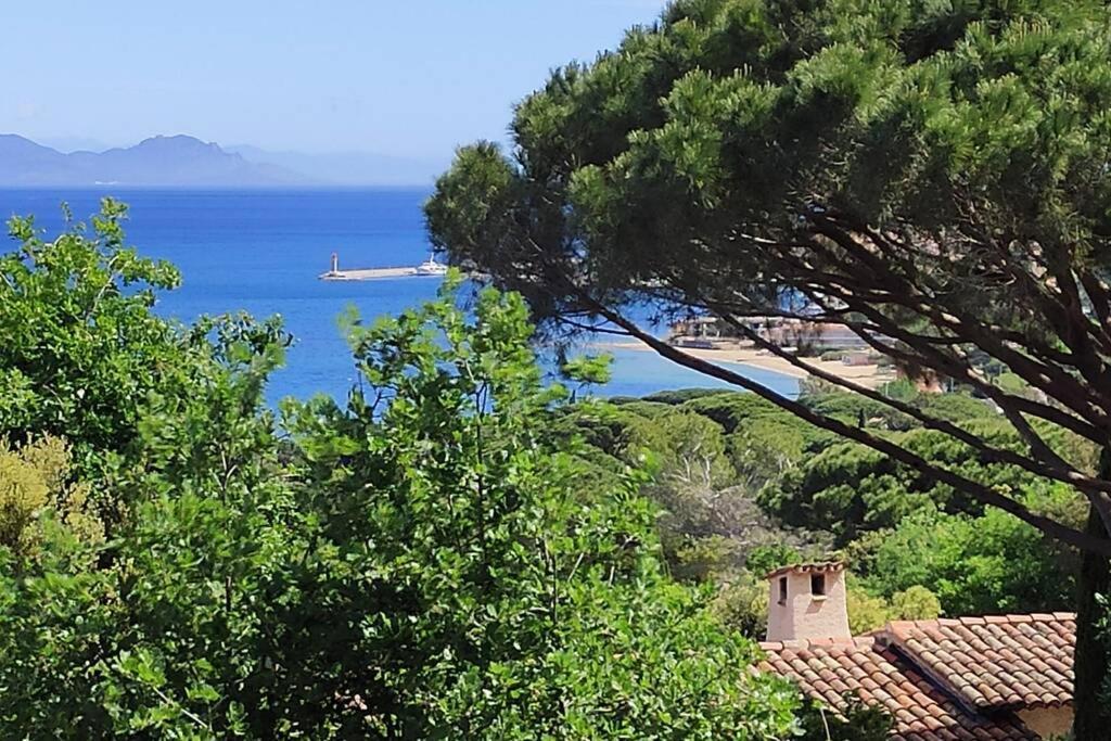 Suite Tropezienne Saint-Tropez Exterior photo